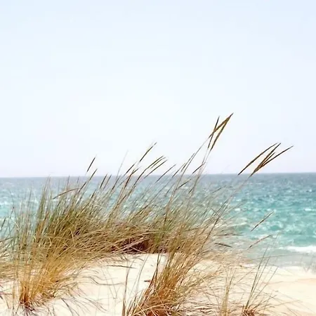 公寓 Kleines Strandhotel